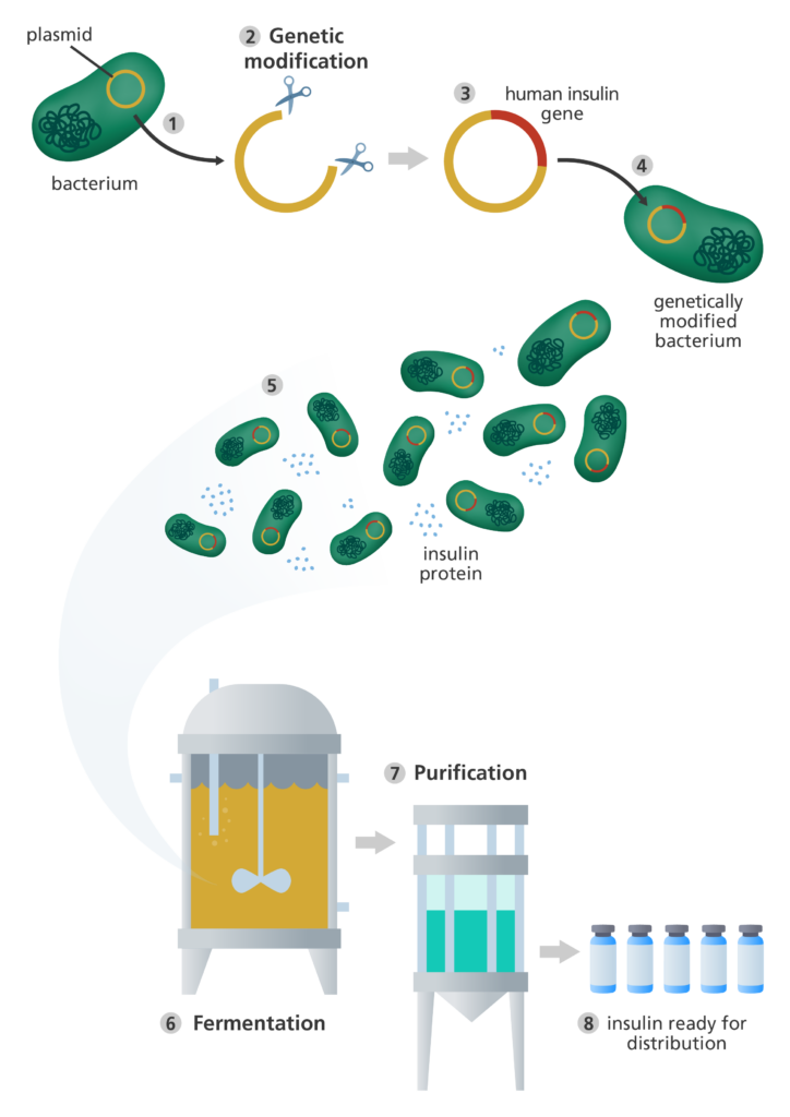 What is genetic engineering?